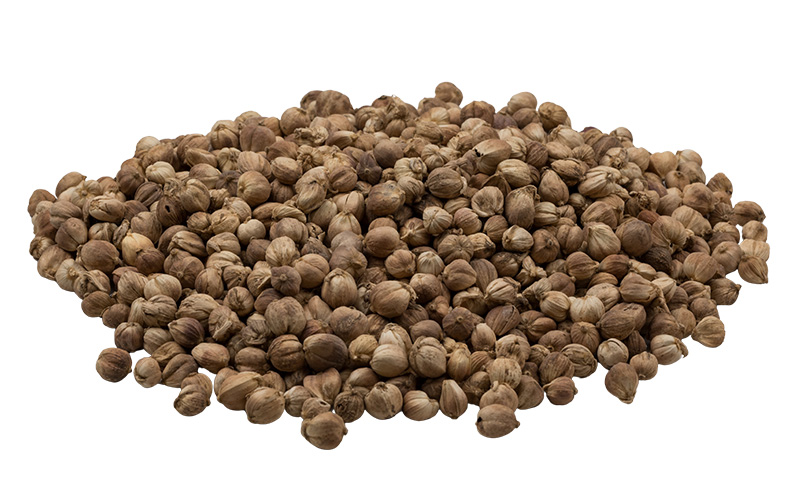 Bạch đậu khấu