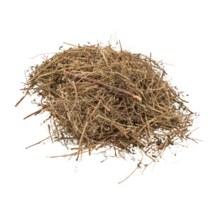 Diệp hạ châu đắng