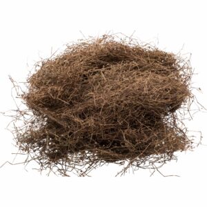 Bạch hoa xà thiệt thảo