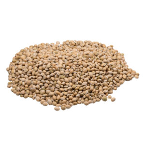 Bạch biển đậu